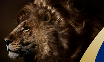 新薬ザガーロ 新しい薄毛・AGA治療薬